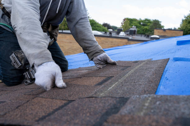 Best Storm Damage Roof Repair  in The Plains, OH