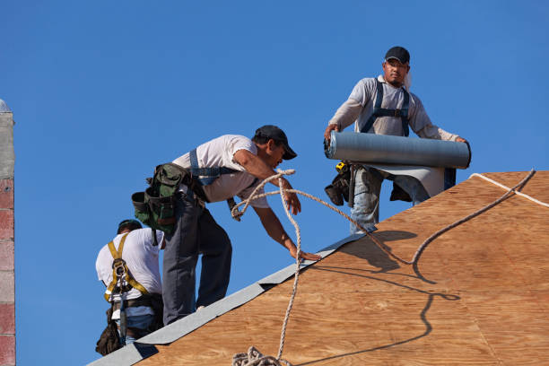 Residential Roof Replacement in The Plains, OH