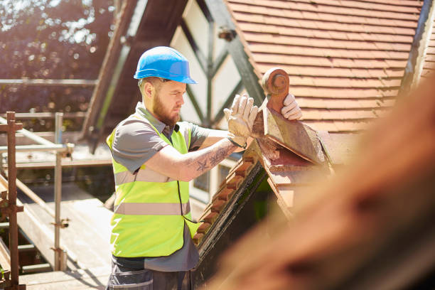 Best Affordable Roof Replacement  in The Plains, OH
