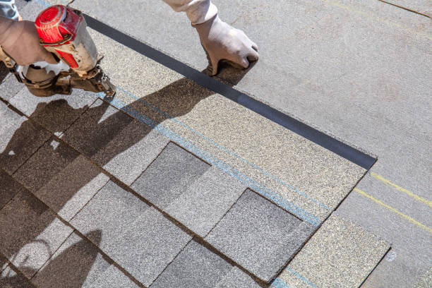 Best Roof Leak Repair  in The Plains, OH