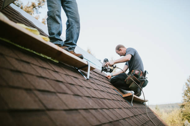 Quick and Trustworthy Emergency Roof Repair Services in The Plains, OH